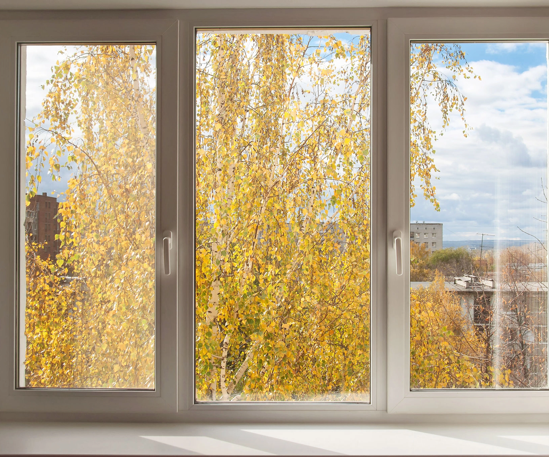 Autumn trees through a bright window.